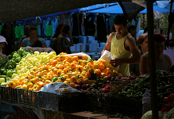 Safed - Weekly Municipal Markets