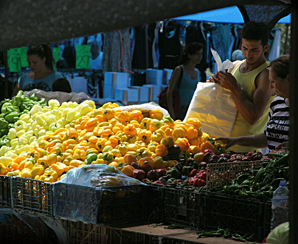 Safed - Weekly Municipal Markets