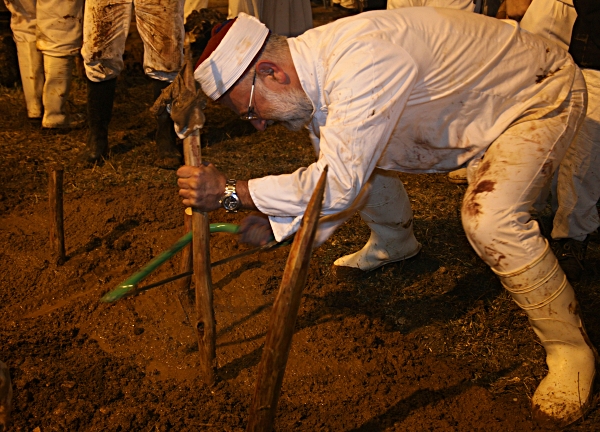 Samaritan, Shomronim, Passover Sacrifice -- Zevach - Sawing off the points of the skewers