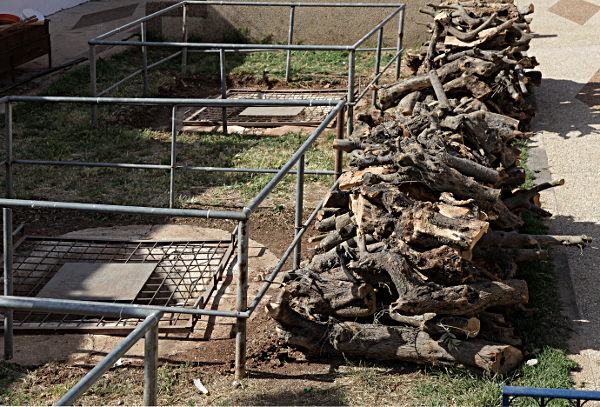 Samaritan, Shomronim, Passover Sacrifice - Logs ready for burning in the cooking pits