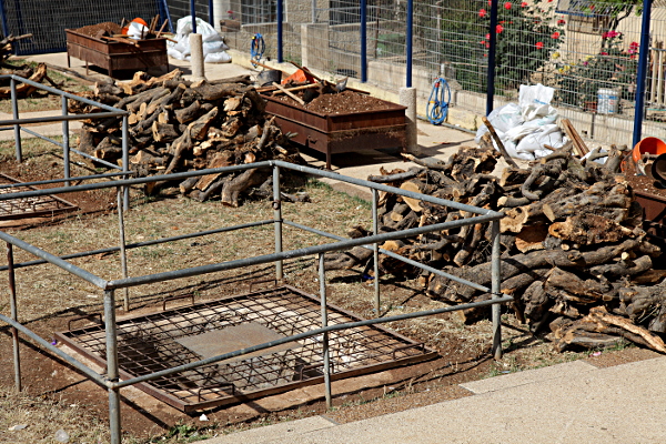 Samaritan, Shomronim, Passover Sacrifice - Logs ready for burning in the cooking pits