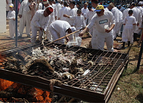 Samaritan, Shomronim, Passover Sacrifice - Mizbeah, Salt and Innards