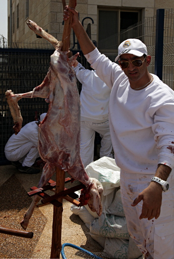 Samaritan, Shomronim, Passover Sacrifice - Skewered Lamb