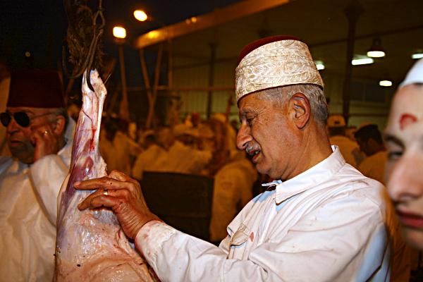 Samaritan, Shomronim, Passover Sacrifice - Butchering a lamb