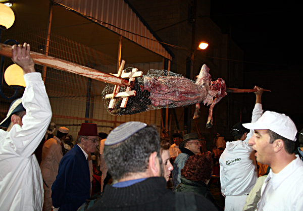 Samaritan, Shomronim, Passover Sacrifice - The lamb ready for cooking