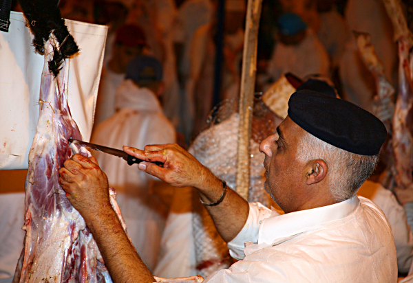 Samaritan, Shomronim, Passover Sacrifice - Preparing the lamb