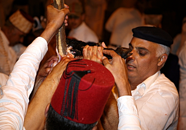 Samaritan, Shomronim, Passover Sacrifice - Removing thighs for the priests