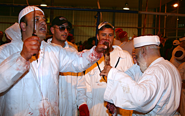 Samaritan, Shomronim, Passover Sacrifice - The thigh is given to the priests