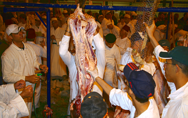 Samaritan, Shomronim, Passover Sacrifice - Skewering a lamb