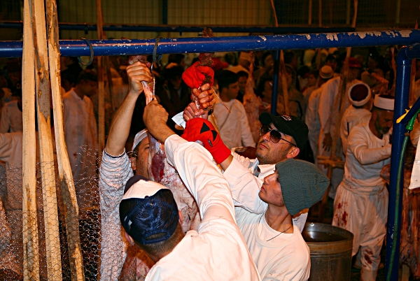 Samaritan, Shomronim, Passover Sacrifice - A Team Effort with a Skewer