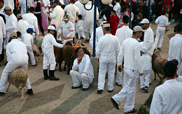 Samaritan, Shomronim, Passover Sacrifice - Taking the lambs to the ritual slaughter area