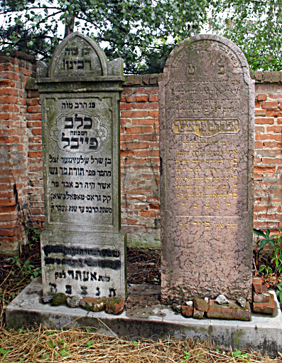 Grave of my great grandfather, Rabbi Avraham haLevi Prager of blessed memory in the Topolcany cemetery along side that of Rabbi Calev Schlesinger