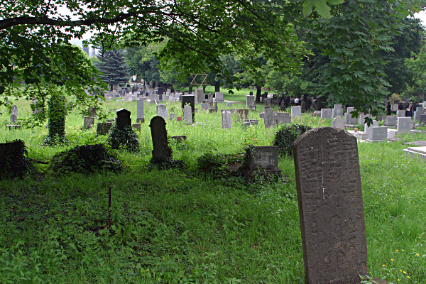 Slovakia Weather - Jewish Cemetery, Kosice