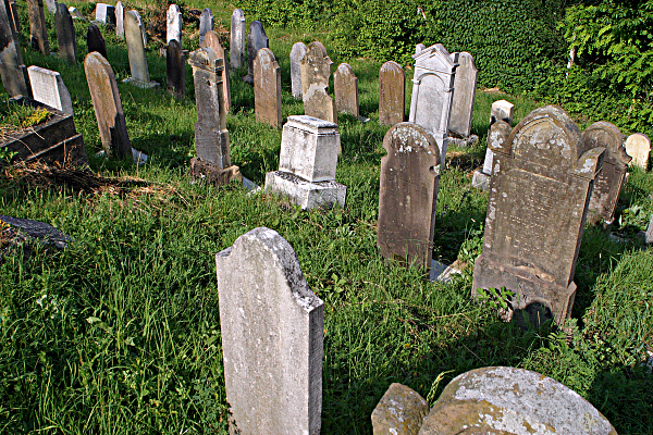 Slovakia Weather - Jewish Cemetery in Presov