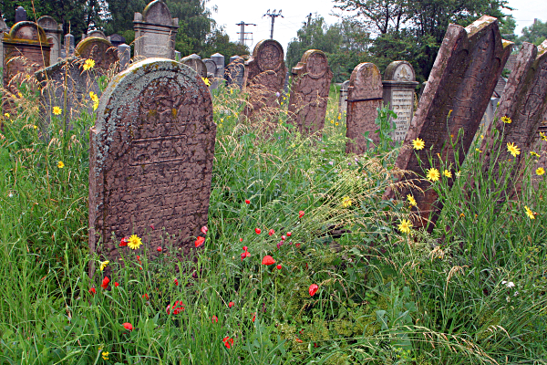 Slovakia Weather - Jewish Cemetery. Topolcany