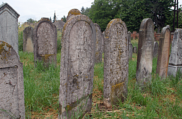 Slovakia Weather - Jewish Cemetery. Topolcany