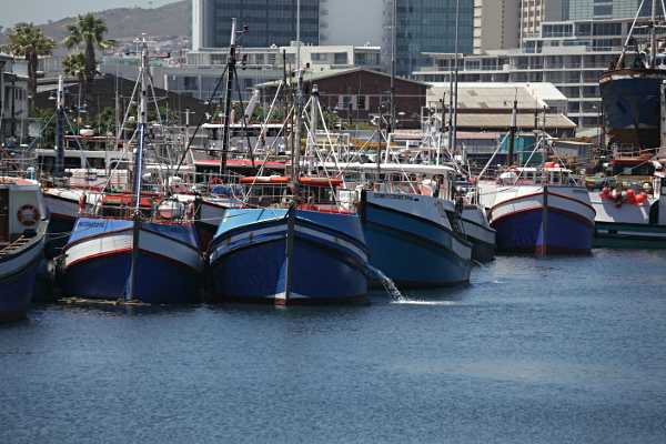 Cape Town - Blue Boats in Cape Town Harbour