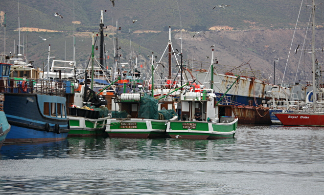 Cape Town - Green Fishing Boats, Hout Bay, Cape Town