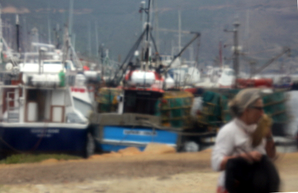 Cape Town - Hout Bay Fishing Boats