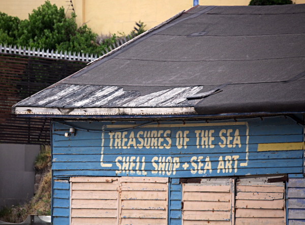 Cape Town - Shell Shop and Sea Art, Cape Town