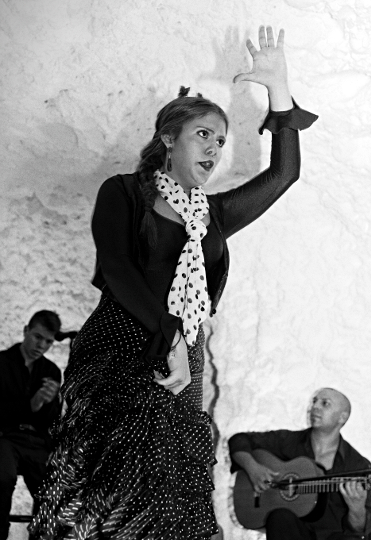 Street and Cave Flamenco - 