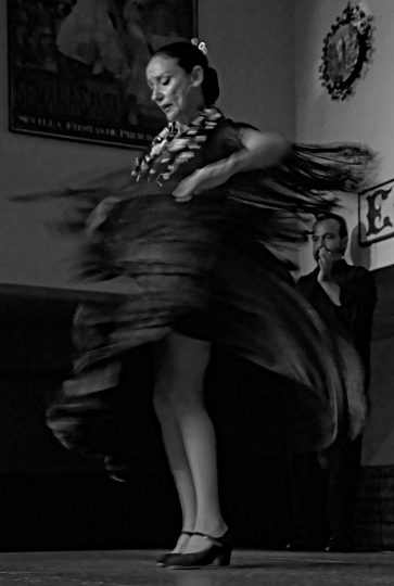 Flamenco - 