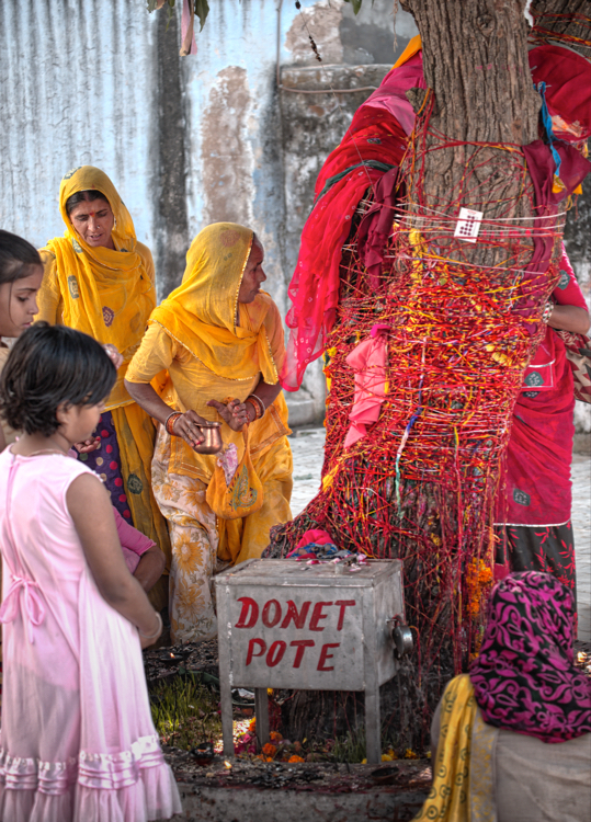 India 2014 - Prayer Ribbons, Pushkar