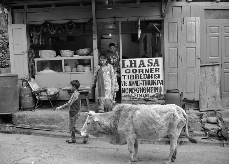 India 2015 - Momo Shop, on the Road to Dharamshala