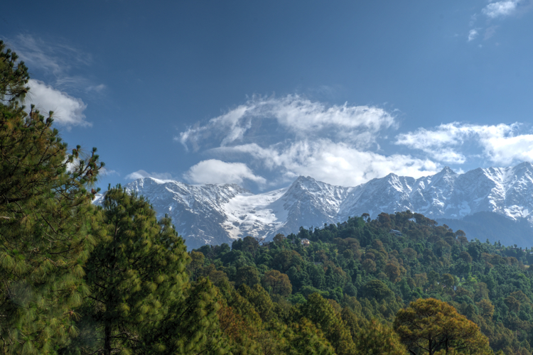 India 2015 - India Himalayas from Dharamshala