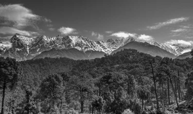 India 2015 - India Himalayas from Dharamshala