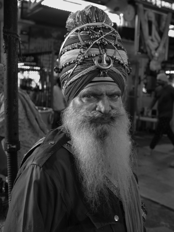 India 2015 - Seikh Knight, Golden Temple, Amritsar