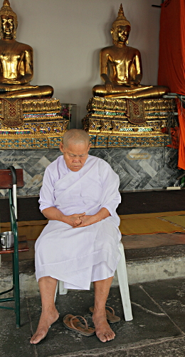 Thailand - Meditation or Sleep - but charity box at the ready